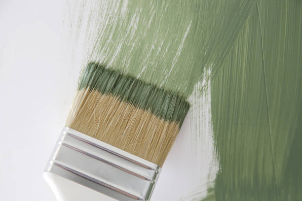 Dehumidification Services in Buffalo, TX